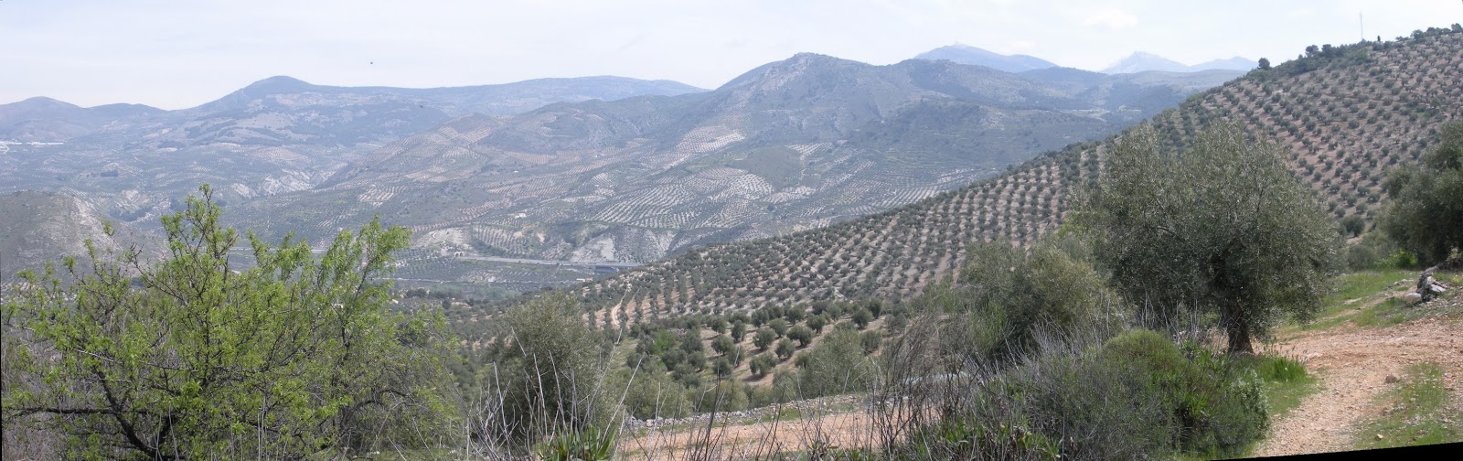 andalucía en moto